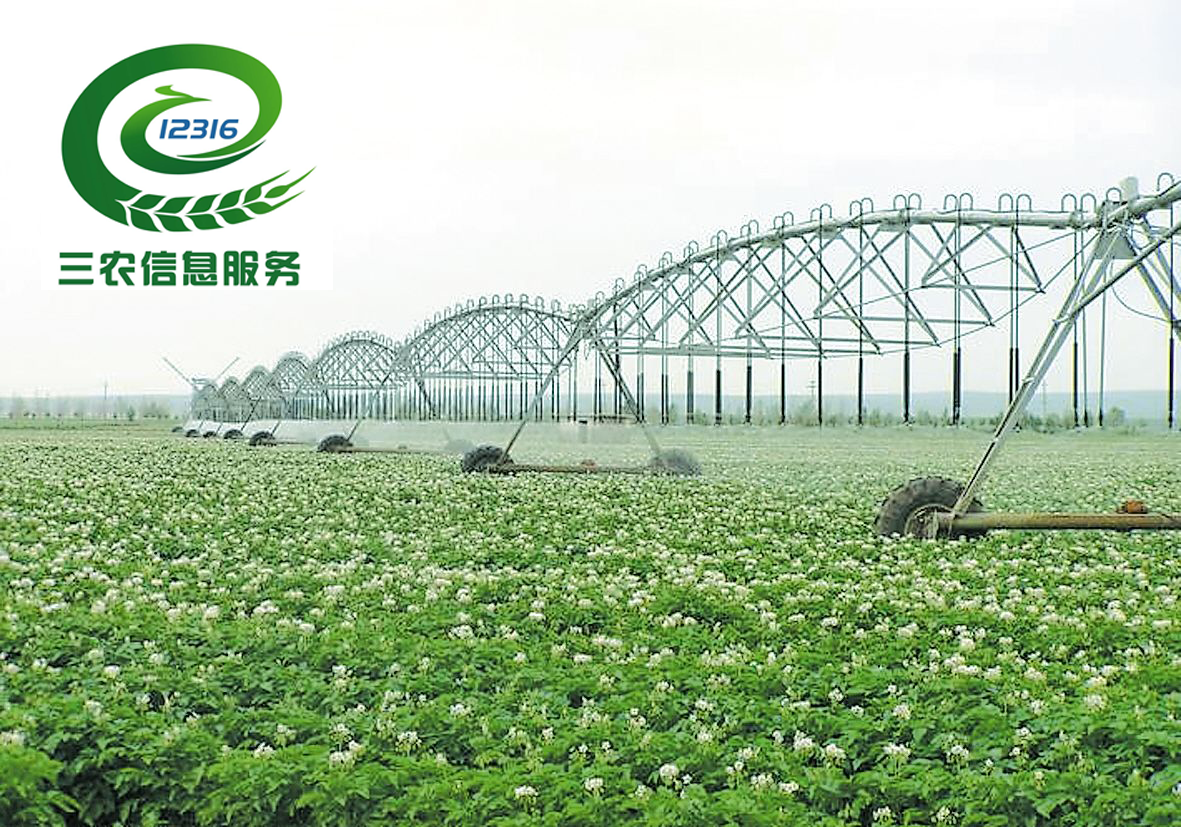 河南省绿色食品发展取得新突破